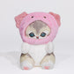 Bearie Meow