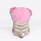 Bearie Meow