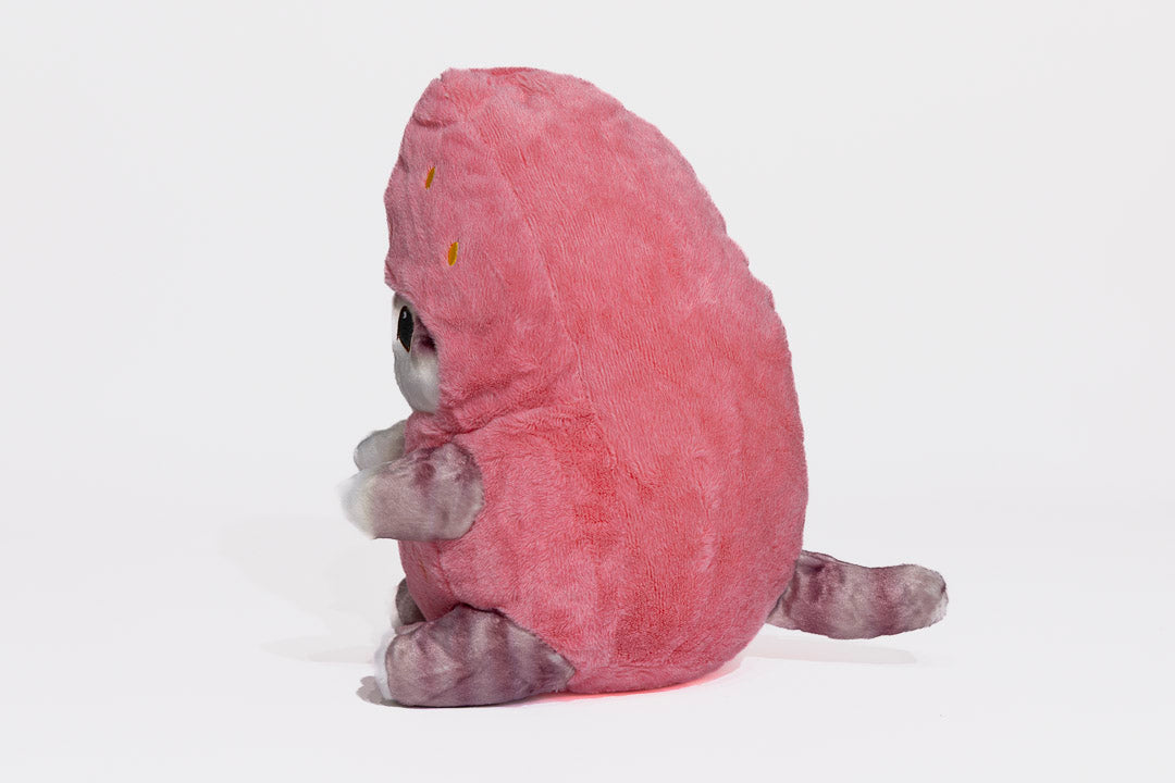 Strawbby Meow